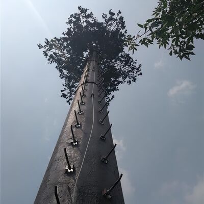 18 27 35 Meter getarnter Palmen-Telekommunikationsturm für Resort-Hotellandschaft