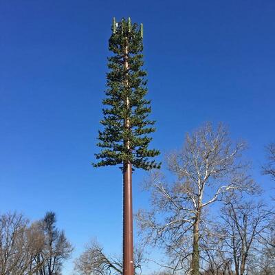Eco-Friendly Camouflaged Bionic Pine Tree Tower for 5G Wireless Network Aesthetic Integration Bionic Palm Tree Communication Mast Factory