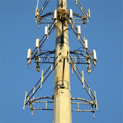 4g 5g drahtloses Mikrowellen Monopol Telekommunikationsturm mit Flangel 5m 12m 36m 45m 55m Meter