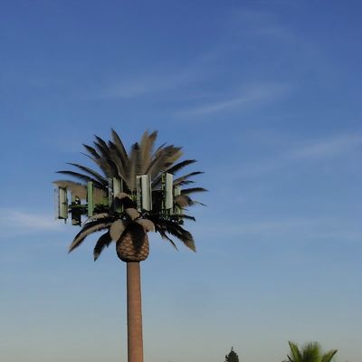 10 20 30 M Palmenbaum Falschbaum Zellturm Tarnung Telekommunikation 5-80M