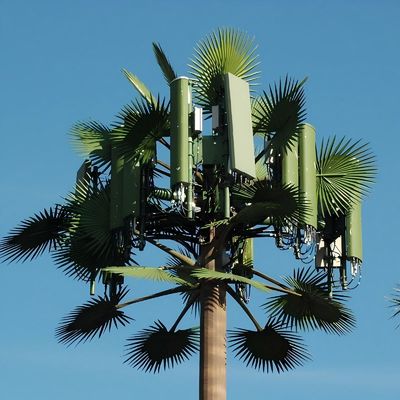 10 20 30 40 50 60 70 80 M Heiß getaucht galvanisiert Tarnpol Palm / Kiefer Mikro-Fake Zellturm Bäume 10 20 30 40 50 60 70 80 M