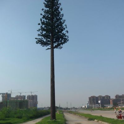 Verzinktes Stahl Einzelrohr Bionische Tarnung 5g Türme Kokosbaum Telekommunikation Palmbaum Kieferbaum