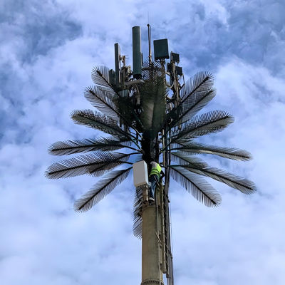 Hochleistungsinnovative Kommunikation Verhüllte Zellturme Kokosnussbaum kundenspezifischer Stahl Monopol Turm