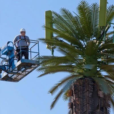 Verzinktes GSM Mobile Bionische Palmbaum Antenne Turm Einzelpol 5g Turm Tarnung