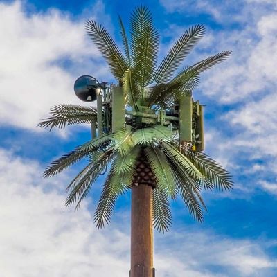 Anpassung 20m-50m Kommunikationsmonopol künstlicher Baum Zellturm Telekommunikation Palm Bionic Verkleidung Baum Pole Tower