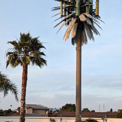 10 20 30 M Palmenbaum Falschbaum Zellturm Tarnung Telekommunikation 5-80M