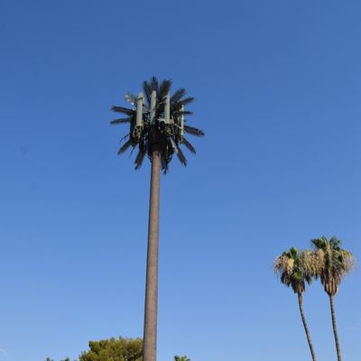 Palmenbaum Fake Baum Zellturm Tarnung Telekommunikation 5-80M