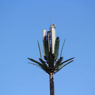 Palmenbaum Fake Baum Zellturm Tarnung Telekommunikation 5-80M