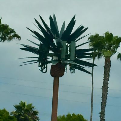 Verzinkte Bionische Telekommunikation Monopolturm / künstliche Baumzellturm