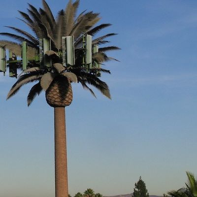 Mikrowellen Mobilfunk Monopol Fake Palm Tree Cell Tower Tarnung Datum Kommunikationsturm