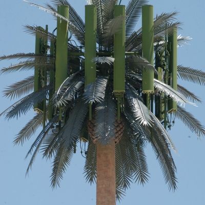 Mikrowellen Mobilfunk Monopol Fake Palm Tree Cell Tower Tarnung Datum Kommunikationsturm