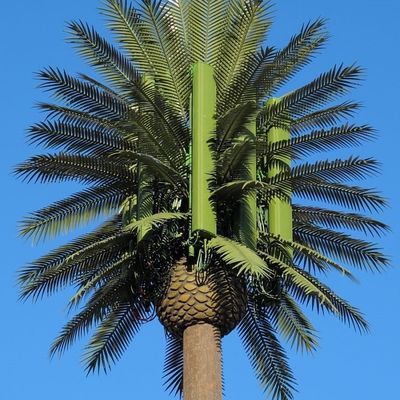 10 20 30 M Palmenbaum Falschbaum Zellturm Tarnung Telekommunikation 5-80M