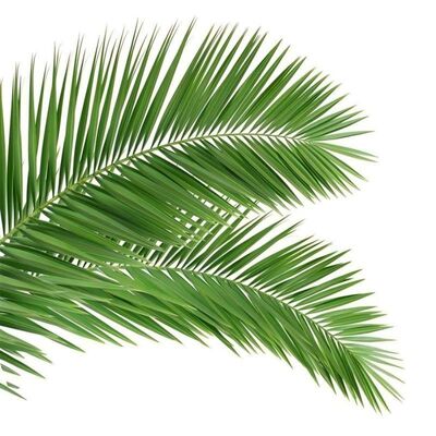 Bionischer Baumturm mit baumähnlichem Aussehen mit Glasfaserzweigen und Stämmen für eine nahtlose Vermischung der Landschaft