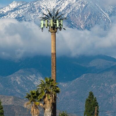 Bionischer Baumturm anpassbare modulare Komponenten für Höhe und Baumart zur Anpassung an verschiedene Landschaftsanforderungen