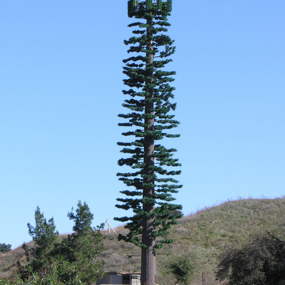 22 28 36 Meter feuerverzinkter bionischer Baum-Telekommunikationsturm, getarnt für touristische Landschaftsgebiete