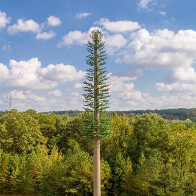 15–45 m großer Kommunikationsturm im tropischen Stil mit bionischer Palmen-Tarnung für die Signalabdeckung von Küstenresorts. 30 Jahre verzinkter Stahlkern und UV-beständige Blätter