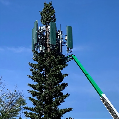 Umweltfreundlicher, getarnter bionischer Kiefernturm für 5G-Wireless-Netzwerk, ästhetische Integration, bionische Palmen-Kommunikationsmastfabrik