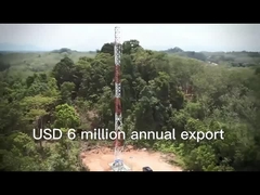 2.3-beiniger Kommunikationsturm aus Stahl